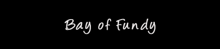 Bay of Fundy, Nova Scotia